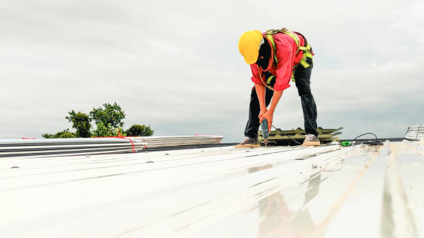 Best Gutter Installation and Repair  in Ash Grove, MO