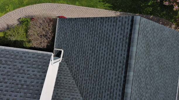 Best Solar Panel Roofing Installation  in Ash Grove, MO