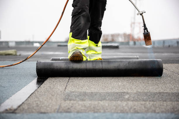 Best Roof Ventilation Installation  in Ash Grove, MO
