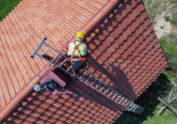 Best Cold Roofs  in Ash Grove, MO